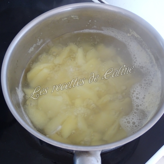 Ragoût de boeuf et purée au parmesan15