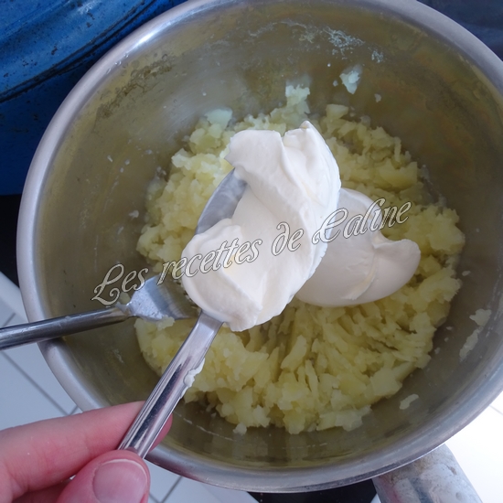 Ragoût de boeuf et purée au parmesan18