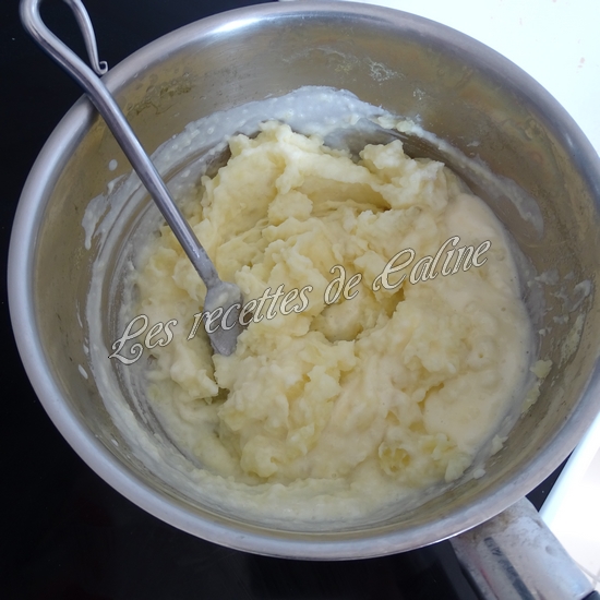 Ragoût de boeuf et purée au parmesan19