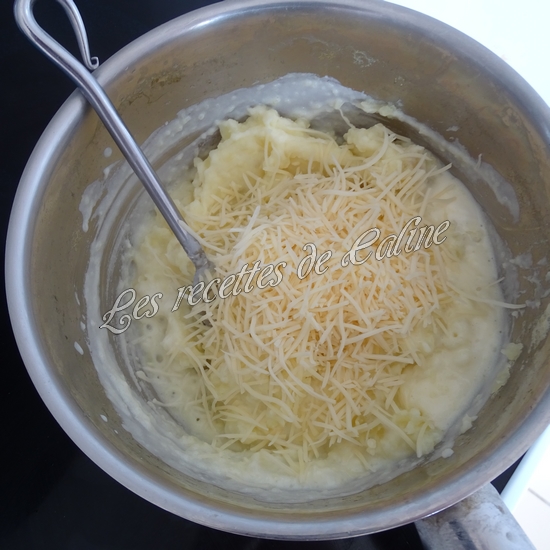 Ragoût de boeuf et purée au parmesan21