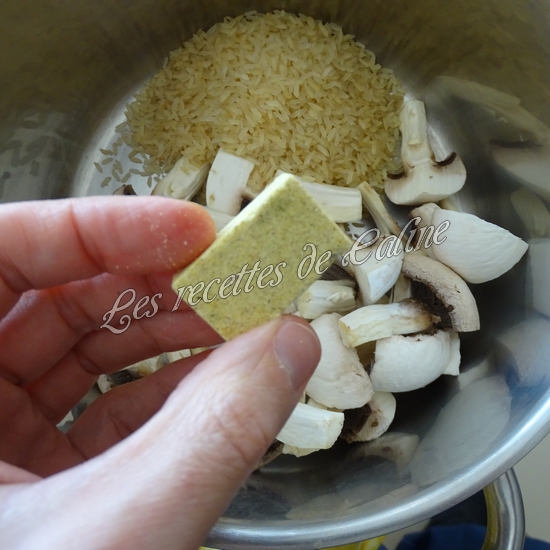 Blanc de poulet au riz et boursin08