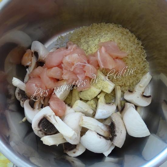 Blanc de poulet au riz et boursin09