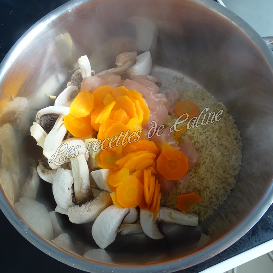 Blanc de poulet au riz et boursin10