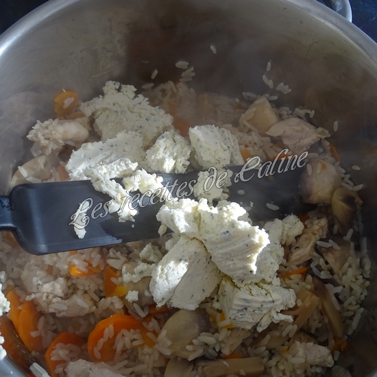 Blanc de poulet au riz et boursin14