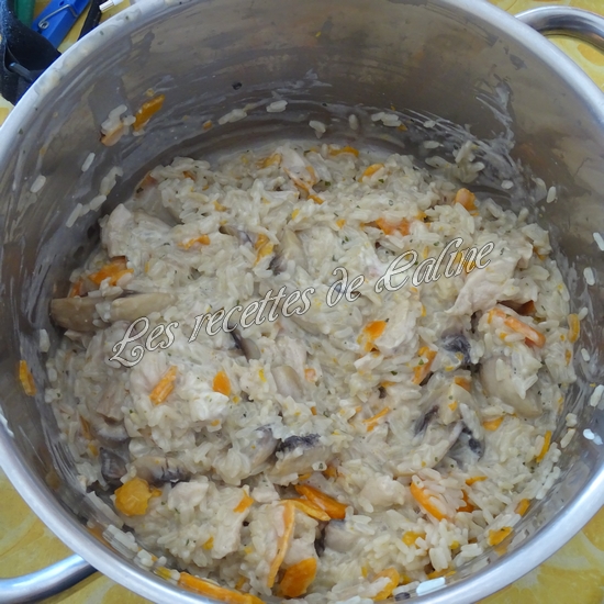 Blanc de poulet au riz et boursin15