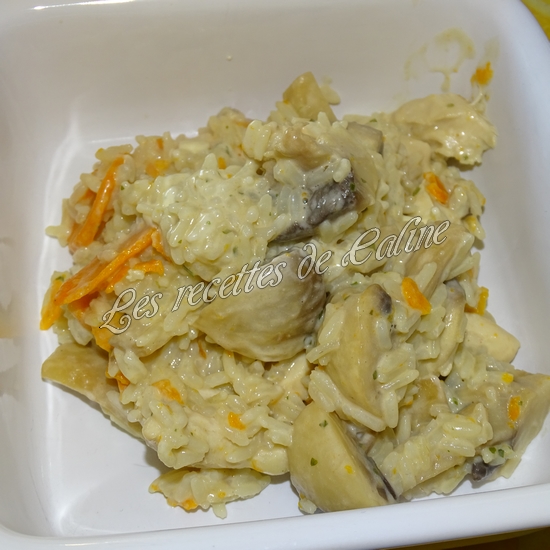 Blanc de poulet au riz et boursin16