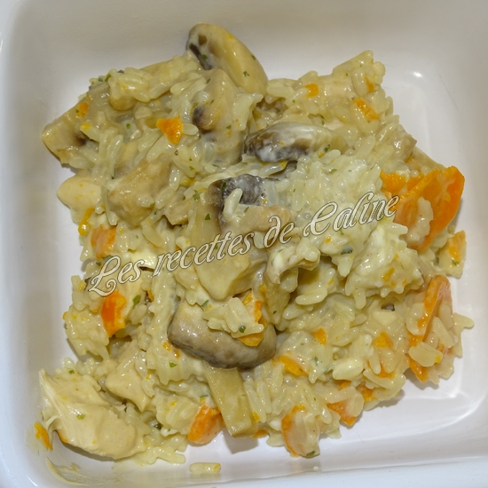 Blanc de poulet au riz et boursin17