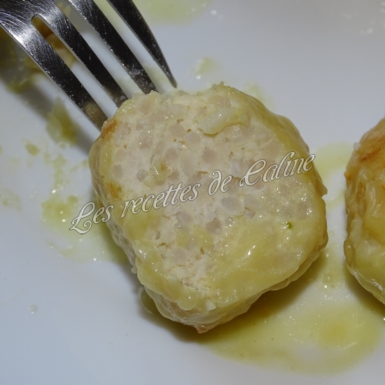Boulettes de poulet au riz27