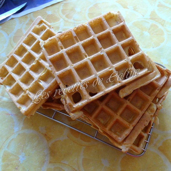 Gaufres au saumon fumé04