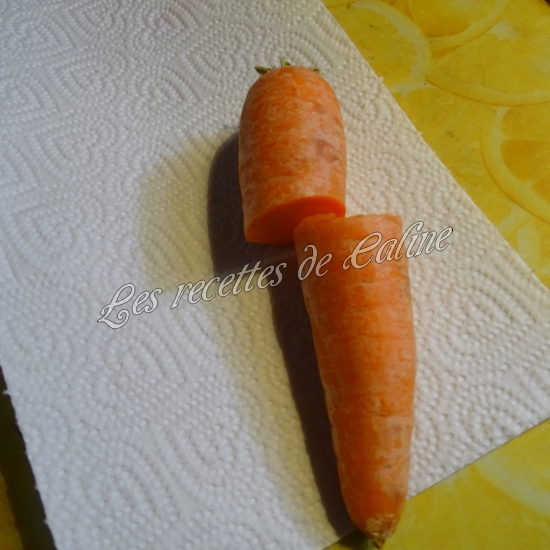 Gyozas au poulet curry, lait de coco01