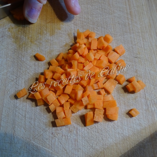 Gyozas au poulet curry, lait de coco02