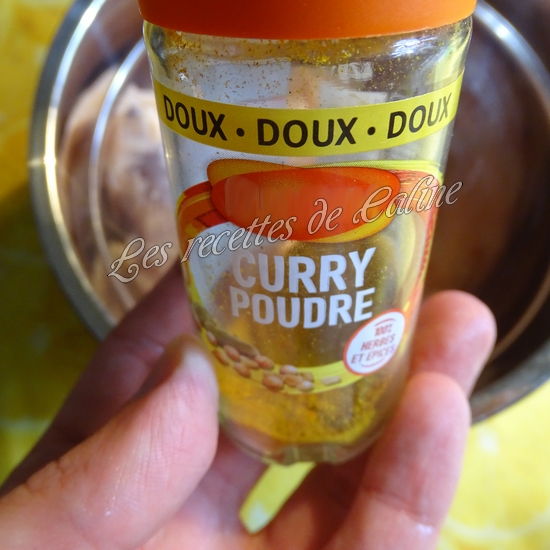 Gyozas au poulet curry, lait de coco04