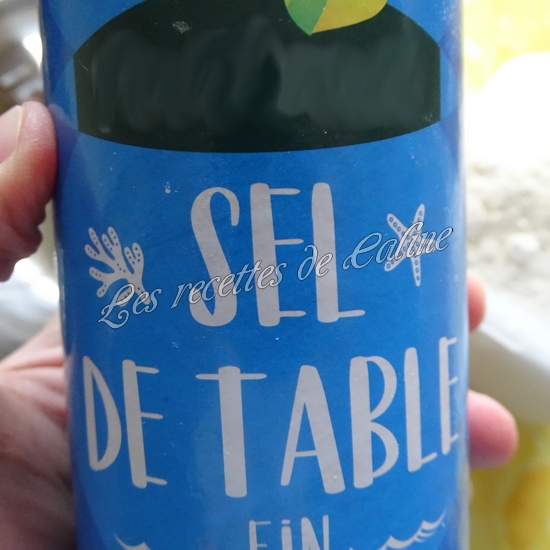 Gyozas au poulet curry, lait de coco10