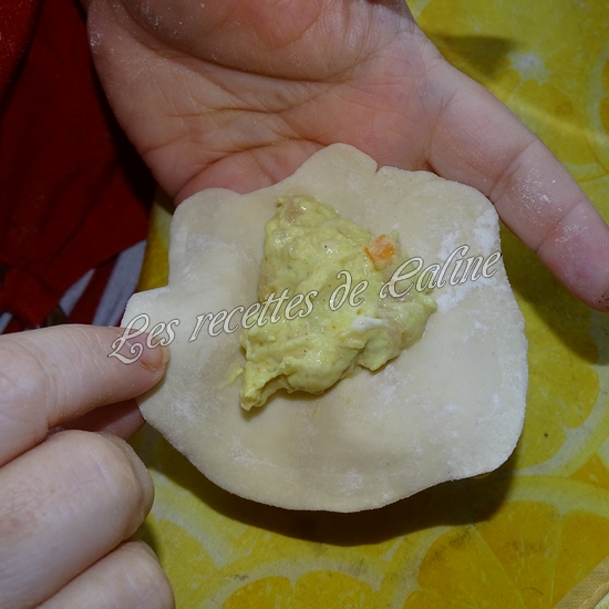 Gyozas au poulet curry, lait de coco11