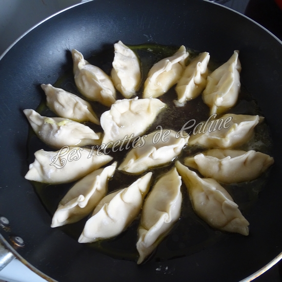 Gyozas au poulet curry, lait de coco13
