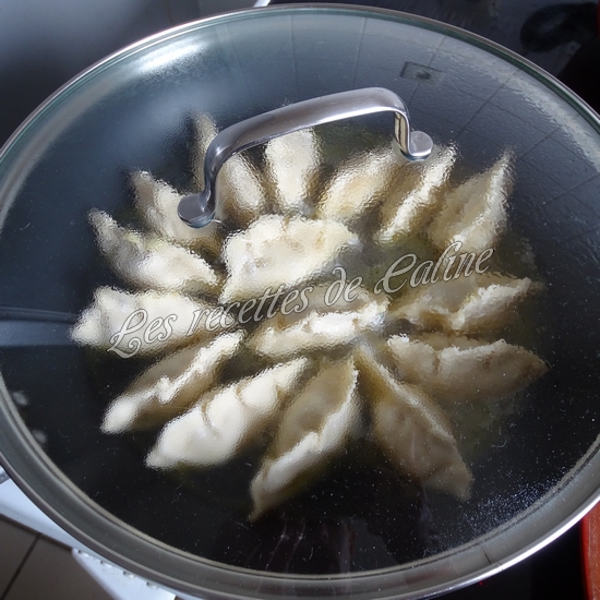 Gyozas au poulet curry, lait de coco14