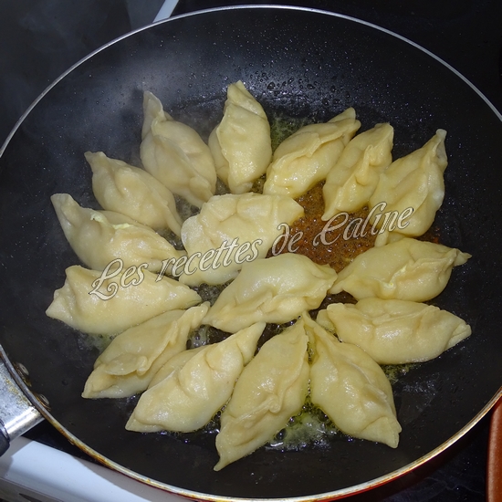 Gyozas au poulet curry, lait de coco15