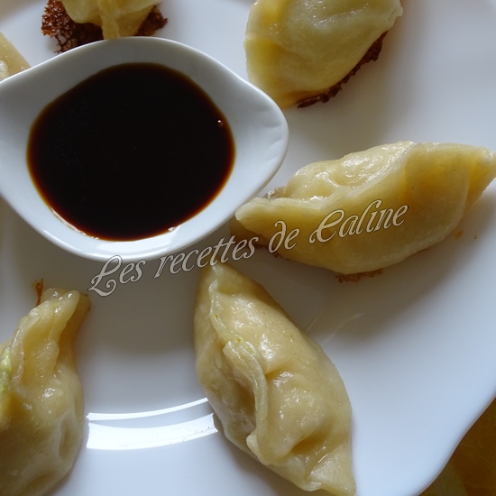 Gyozas au poulet curry, lait de coco19