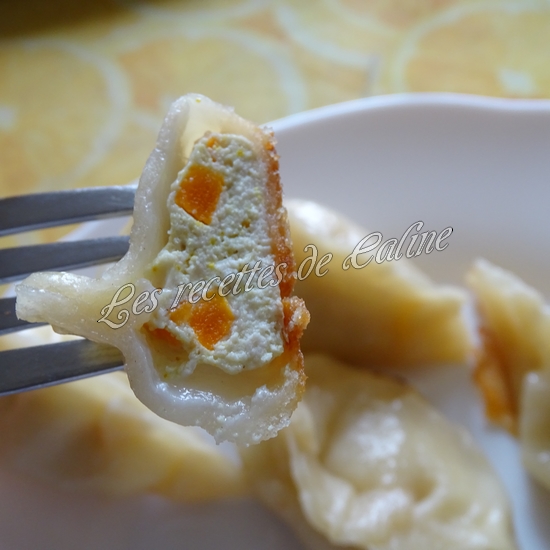 Gyozas au poulet curry, lait de coco20