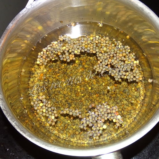 Lentilles au chorizo01