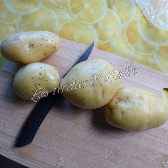 Parmentier de pomme en l’air et pomme de terre01