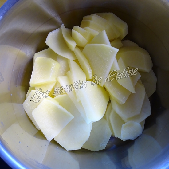 Parmentier de pomme en l’air et pomme de terre02