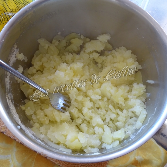 Parmentier de pomme en l’air et pomme de terre04