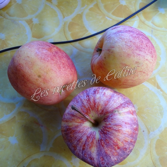 Parmentier de pomme en l’air et pomme de terre05