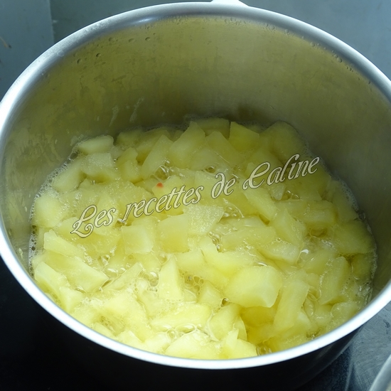 Parmentier de pomme en l’air et pomme de terre07