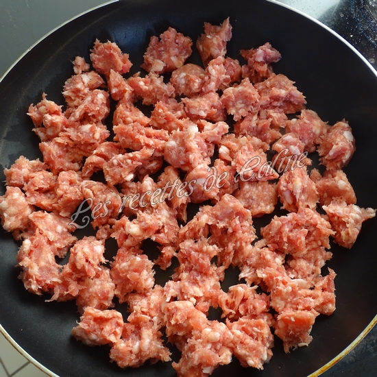 Parmentier de pomme en l’air et pomme de terre09