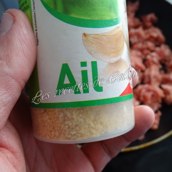 Parmentier de pomme en l’air et pomme de terre11