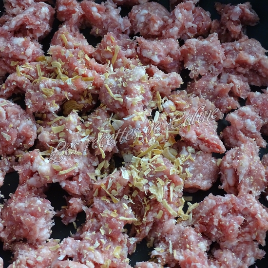 Parmentier de pomme en l’air et pomme de terre12