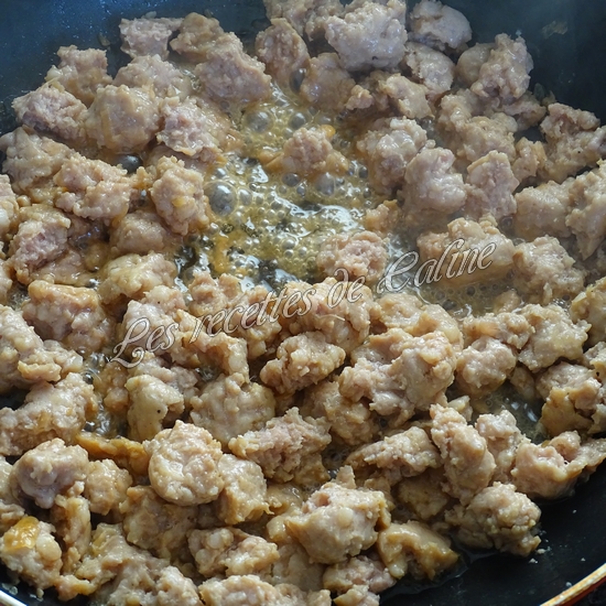 Parmentier de pomme en l’air et pomme de terre13