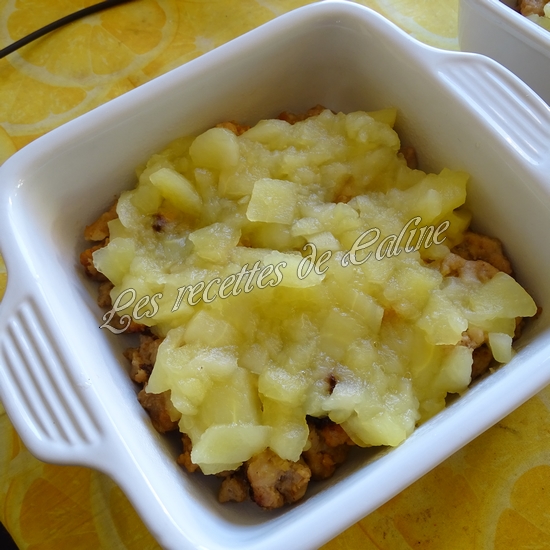 Parmentier de pomme en l’air et pomme de terre15
