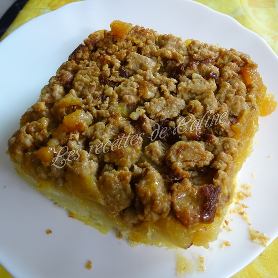 Parmentier de pomme en l’air et pomme de terre22