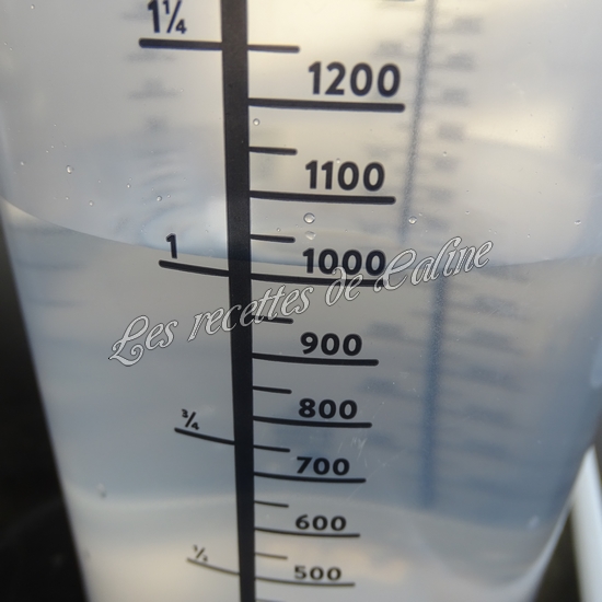 Risotto d'encornet02