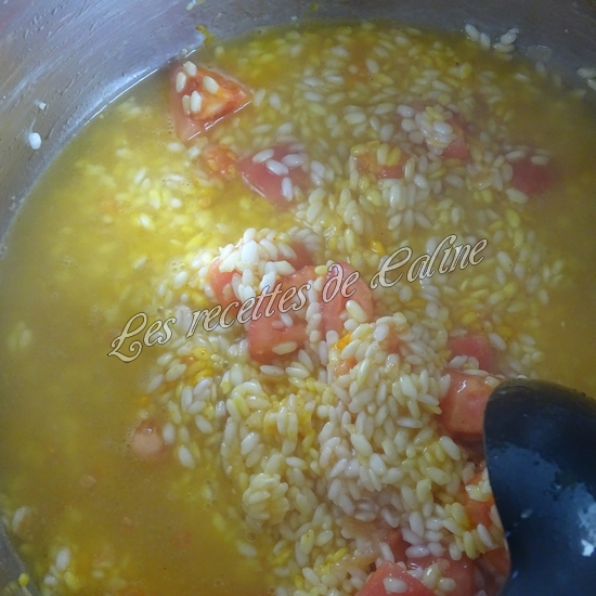 Risotto d'encornet20