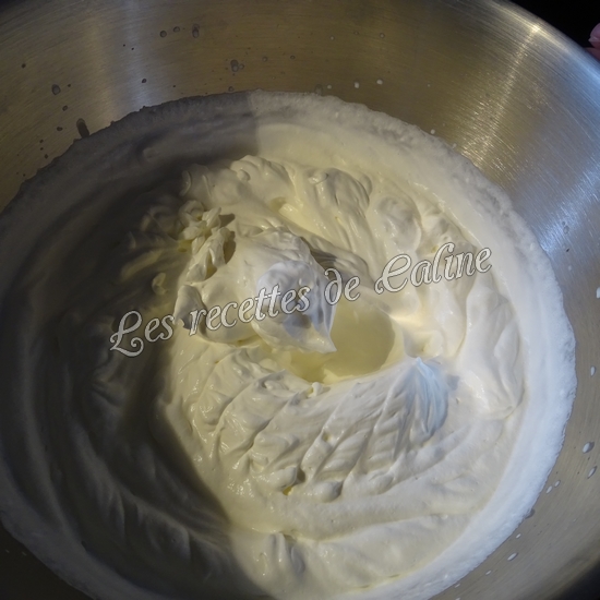 Bûche au chocolat et framboises03