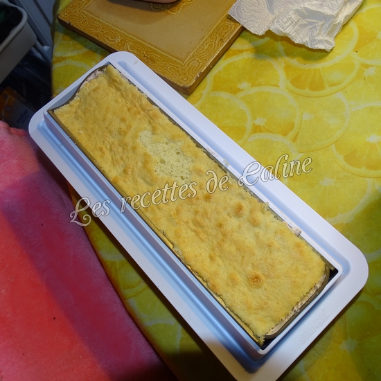 Bûche au chocolat et framboises11