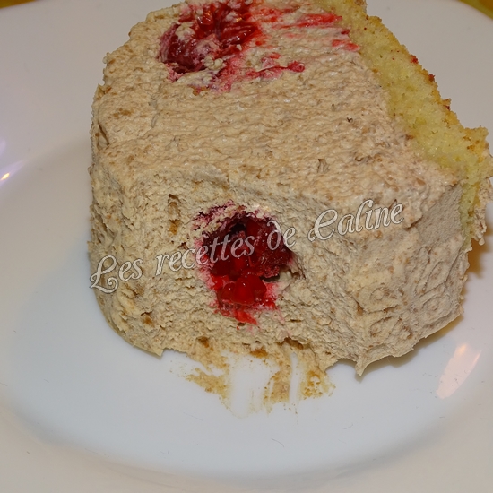 Bûche au chocolat et framboises20