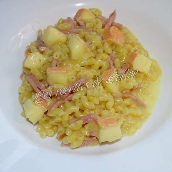Coquillettes au jambon et maroilles15