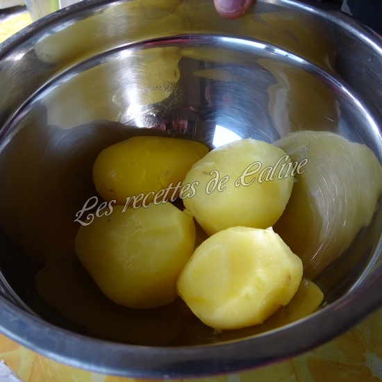 Brick au poulet fromage et oeuf coulant13