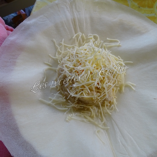 Brick au poulet fromage et oeuf coulant25