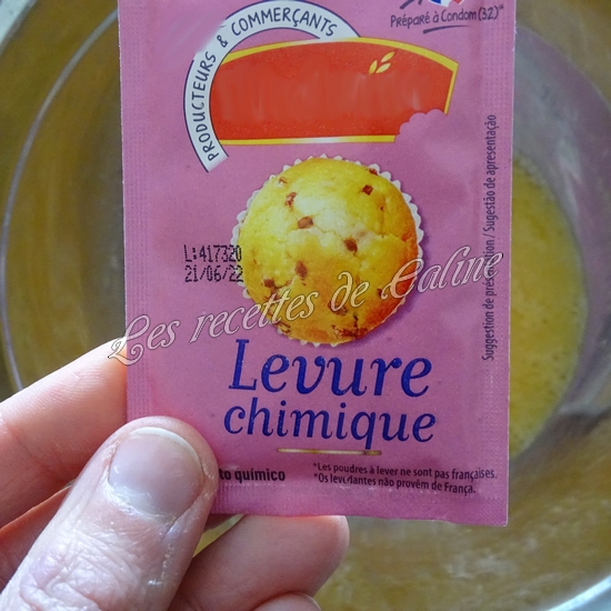 Ch'ti cake au maroilles10