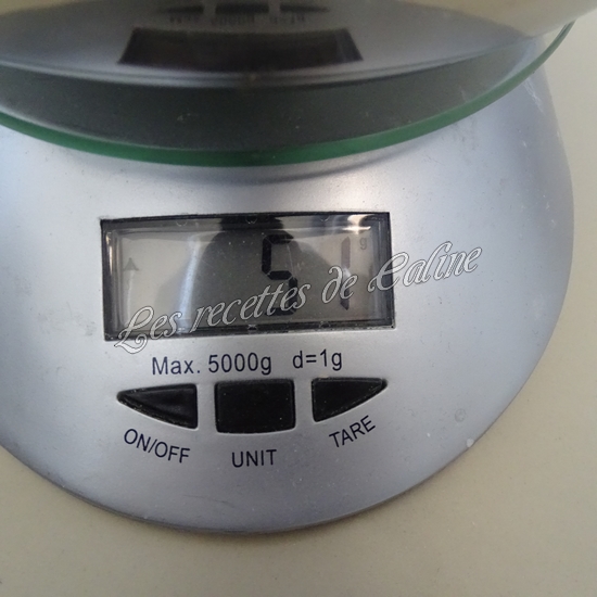 Croque monsieur au poulet07