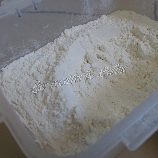 Croque monsieur au poulet08