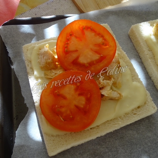 Croque monsieur au poulet19