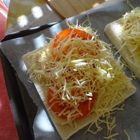 Croque monsieur au poulet21