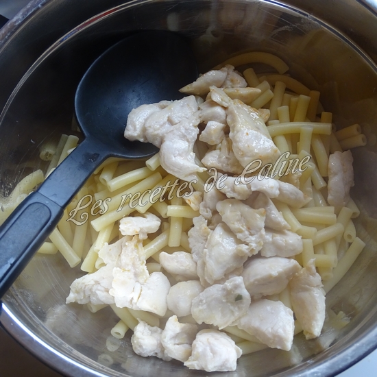 Gratin de pâtes au poulet et à la sauce béchamel06