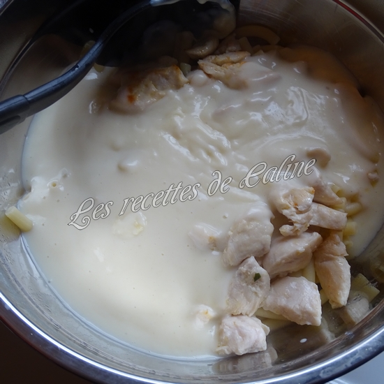 Gratin de pâtes au poulet et à la sauce béchamel16